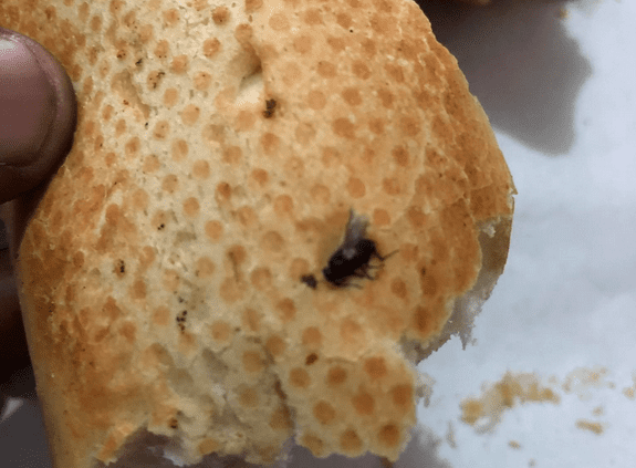 Brioche Dorée: Des mouches retrouvées dans le pain